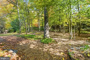 5207 Capon Hill Pl, Burke, VA 22015 - Photo 8