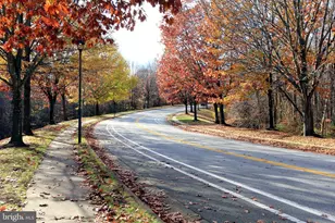 8431 Ambrose Ct, Springfield, VA 22153 - Photo 48