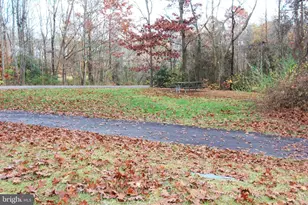 8431 Ambrose Ct, Springfield, VA 22153 - Photo 44