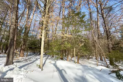 11529 Popes Head Road, Fairfax, VA 22030 - Photo 2