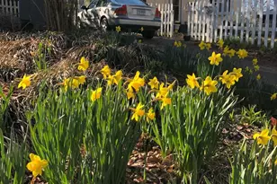 7007 Grove Rd, Alexandria, VA 22306 - Photo 2