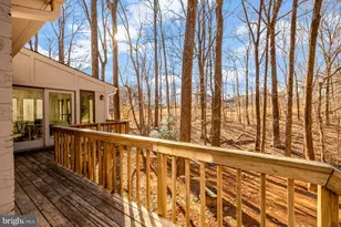 9982 Blackberry Ln, Great Falls, VA 22066 - Photo 38