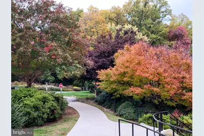 5901 Mount Eagle Drive #609, Alexandria, VA 22303 - Photo 42