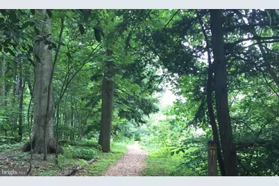 5901 Mount Eagle Drive #609, Alexandria, VA 22303 - Photo 28