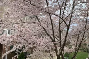 6739 Darrells Grant Pl, Falls Church, VA 22043 - Photo 70