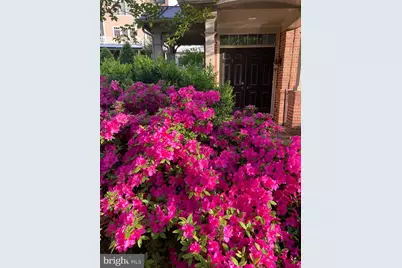 6739 Darrells Grant Place, Falls Church, VA 22043 - Photo 2