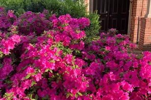 6739 Darrells Grant Pl, Falls Church, VA 22043 - Photo 2