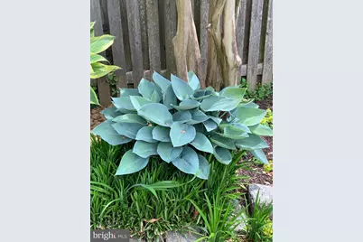 1201 Allendale Road, McLean, VA 22101 - Photo 8