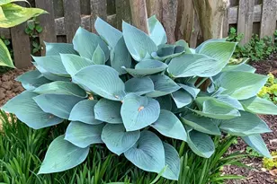 1201 Allendale Rd, McLean, VA 22101 - Photo 8