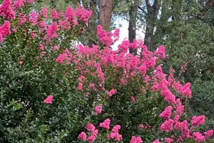 1201 Allendale Rd, McLean, VA 22101 - Photo 68