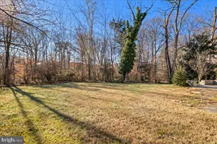 5304 Cedar Ct, Alexandria, VA 22309 - Photo 8