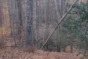 12048 Winding Creek Ct, Clifton, VA 20124 - Photo 26