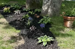 6102 Sherborn Ln, Springfield, VA 22152 - Photo 44