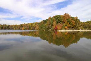 5937 Atteentee Rd, Springfield, VA 22150 - Photo 38