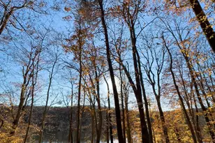 5937 Atteentee Rd, Springfield, VA 22150 - Photo 44