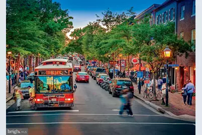 6404 13th Street, Alexandria, VA 22307 - Photo 52