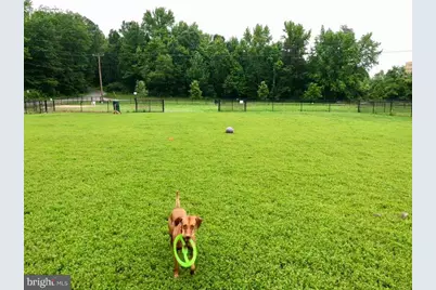 6404 13th Street, Alexandria, VA 22307 - Photo 48