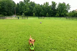 6404 13th St, Alexandria, VA 22307 - Photo 48