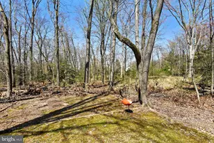 980 Old Holly Dr, Great Falls, VA 22066 - Photo 42