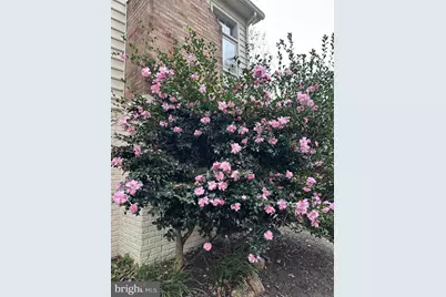 8514 Oak Chase Circle, Fairfax Station, VA 22039 - Photo 46