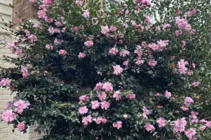 8514 Oak Chase Cir, Fairfax Station, VA 22039 - Photo 46