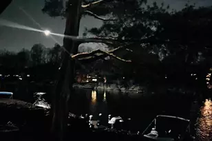 11292 Harbor Ct, Reston, VA 20191 - Photo 20