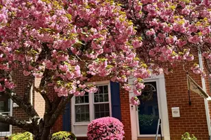 11872 St Trinians Ct, Reston, VA 20191 - Photo 2