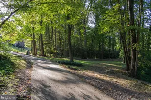 1305 Windleaf Dr, Reston, VA 20194 - Photo 28