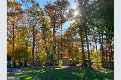 7121 Red Horse Tavern Lane, Springfield, VA 22153 - Photo 12