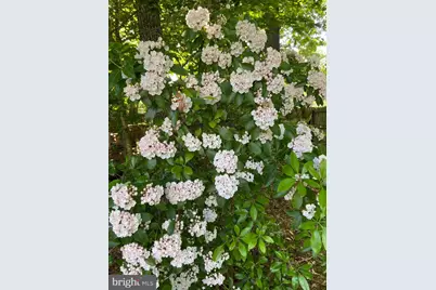 7121 Red Horse Tavern Lane, Springfield, VA 22153 - Photo 10