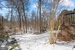 7611 Camp Alger Ave, Falls Church, VA 22042 - Photo 40