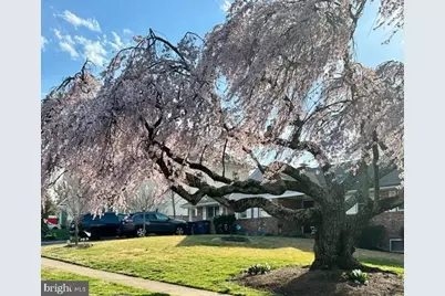 6526 Dryden Drive, McLean, VA 22101 - Photo 2