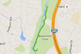 4213 St Jerome Dr, Annandale, VA 22003 - Photo 58