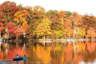 10929 Howland Dr, Reston, VA 20191 - Photo 68