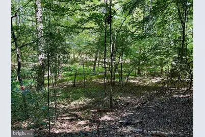 1003 Gelston Circle, McLean, VA 22102 - Photo 10