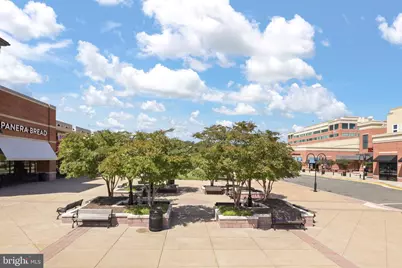 6203 Abbottsbury Row, Alexandria, VA 22315 - Photo 30