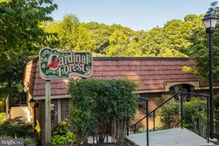 5927 Bayshire Rd, Springfield, VA 22152 - Photo 42