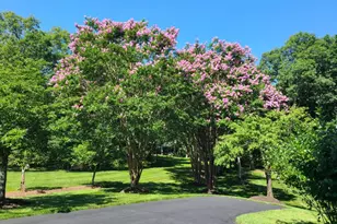 5802 Ridings Manor Pl, Centreville, VA 20120 - Photo 80