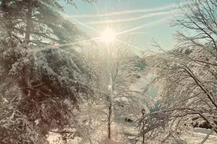 2970 Yarling Ct, Falls Church, VA 22042 - Photo 10