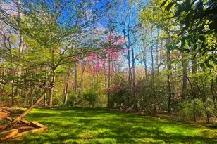 11002 Ring Rd, Reston, VA 20190 - Photo 4