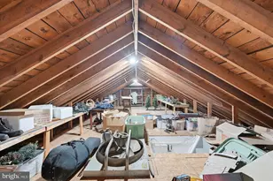 6020 Amherst Ave, Springfield, VA 22150 - Photo 56