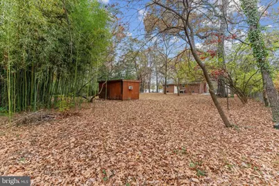 6548 Windham Avenue, Alexandria, VA 22315 - Photo 44