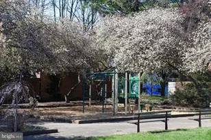 11768 Indian Ridge Rd, Reston, VA 20191 - Photo 22