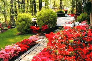 9121 Donna Dean Dr, Springfield, VA 22153 - Photo 44