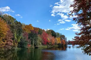 6047 Knights Ridge Way, Alexandria, VA 22310 - Photo 28