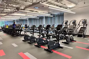 6608 E Wakefield Dr, Alexandria, VA 22307 - Photo 28