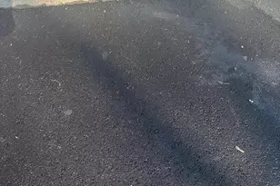 8146 Larkin Ln, Vienna, VA 22182 - Photo 28