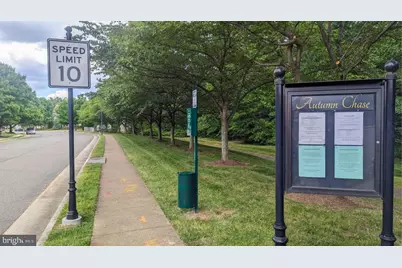 6149 Cilantro Drive, Alexandria, VA 22310 - Photo 60