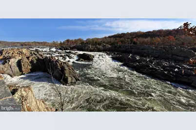 10225 Forest Lake Drive, Great Falls, VA 22066 - Photo 86