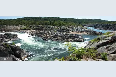 10225 Forest Lake Drive, Great Falls, VA 22066 - Photo 88